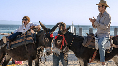 bild aus der news Erstmals im TV: Der dritte Teil einer Kultreihe, in der Familienfeste immer im Chaos enden