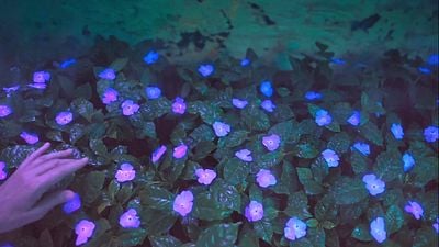 bild aus der news Bizarrer Sci-Fi- & Bodyhorror im Trailer zum gefeierten Mystery-Schocker "Veins" – schon bald im Kino!