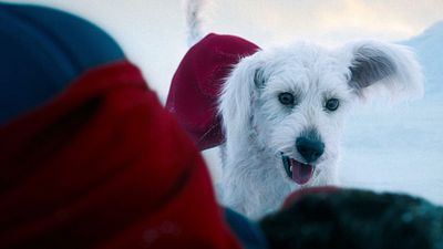 bild aus der news Alles andere als ein braver Hund: Neuer "Superman"-Trailer begeistert mit Superhund Krypto, Robotern und der Festung der Einsamkeit [UPDATE]