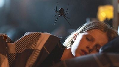 Der schockierende Spinnen-Horror, über den jetzt schon alle reden: Endlich steht fest, wann und wo ihr ihn in Deutschland im Kino sehen könnt!