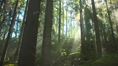 bild aus der news Erster langer Trailer zum Remake eines der beliebtesten Fantasy-Filme eurer Kindheit – weltweit bei Netflix, in Deutschland im Free-TV!