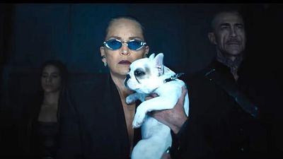 bild aus der news Ja, ihr habt in "Nobody 2" richtig gehört: Das steckt hinter dem deutschen Lied, zu dem Sharon Stone tanzt