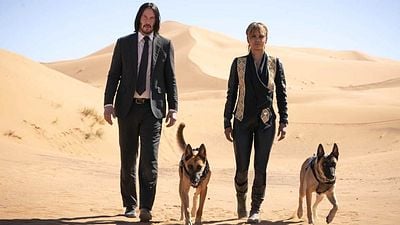 bild aus der news "Ich wollte ihn nicht enttäuschen": "John Wick"-Star brach sich drei Rippen, um Keanu Reeves zu beeindrucken