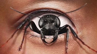 bild aus der news "Star Wars"-Star verliert die Kontrolle: Fieser Trailer zum Psycho- & Body-Horror "Control Freak"