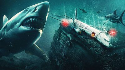 bild aus der news Heute erstmals im TV: Intensiver Survival-Thriller mit Haifisch-Horror – im Flugzeug!