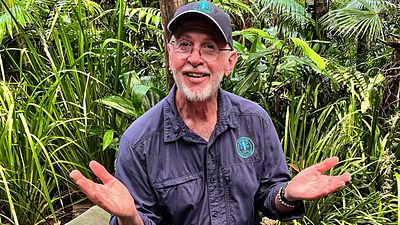 bild aus der news Dr. Bob macht den Kandidatencheck: Diese Dschungelcamperin hat keine Chancen auf die Krone