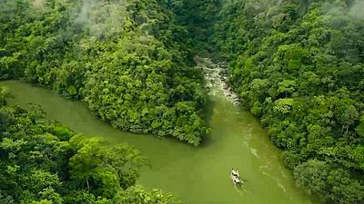 bild aus der news Selbst Nicolas Cage ist Fan: Eine der besten Filmreihen überhaupt wird fortgesetzt – seht jetzt den neuen Trailer zu "Paddington in Peru"