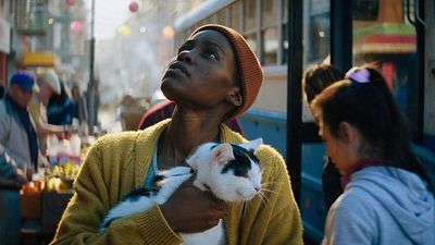 bild aus der news "Die Katze stiehlt die Show": Selbst Horror-Maestro Stephen King feiert diesen aktuellen Blockbuster-Kinohit!