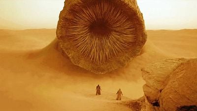 bild aus der news Paukenschlag! Die "Bourne"-Reihe soll neu gestartet werden: Ersetzt dieser "Dune"-Star Matt Damon?