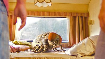 bild aus der news Heute feiert ein einzigartiger Geheimtipp TV-Premiere: So einen Film habt ihr noch nie gesehen – versprochen!