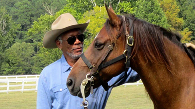 bild aus der news Morgan Freeman beschloss, seine 50 Hektar Land zur Rettung der Umwelt einzusetzen: Also verwandelte er seine Ranch in ein ganz besonderes Schutzgebiet!