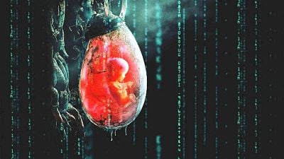 bild aus der news "Kein Studio will meine Filme machen": Darum hat die Macherin eines Sci-Fi-Meisterwerks seit 2015 keinen Film gedreht