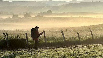 bild aus der news Dieser Weg wird dein Leben verändern: Deutscher Trailer zu "Mein Weg - 780 km zu mir" – exklusiv bei FILMSTARTS
