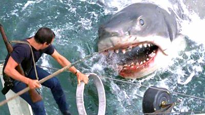 Fast 50 (!) Jahre nach "Der weiße Hai": Kult-Star tritt erneut gegen einen Unterwasser-Killer an