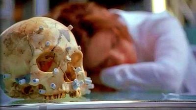 bild aus der news Nach fast 10 Jahren kommt Ersatz für Fans einer der beliebtesten Serien der letzten Jahre: Dieser TV-Star ermittelt endlich wieder!