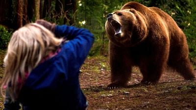 bild aus der news Heute im TV: In diesem Survival-Horror werden Marvel-Stars von einem blutrünstigen Bären gejagt