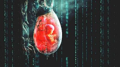 bild aus der news Sie ist die Kult-Regisseurin eines Sci-Fi-Meisterwerks, trotzdem will niemand in Hollywood ihren neuen Film finanzieren