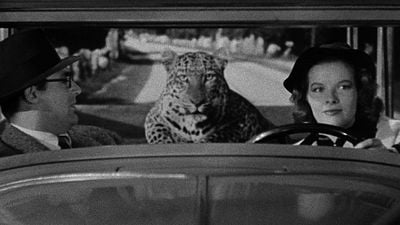 bild aus der news Heimkino-Highlight: "Die große Cary Grant Edition"