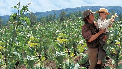 bild aus der news Heute Abend könnt ihr einen der stärksten Liebesfilme der 1990er-Jahre streamen - mit zwei Hollywood-Stars in den Hauptrollen