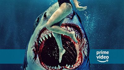 bild aus der news Neu auf Amazon Prime Video: Dieser blutige Hai-Horror lief 2024 im Kino – heute Abend könnt ihr ihn streamen