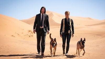 bild aus der news TV-Tipp: "John Wick: Kapitel 3"