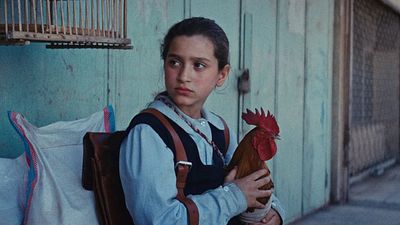 bild aus der news Der wohl stressigste Einkaufstrip des Kinojahres: Hier ist der deutsche Trailer zum preisgekrönten "Ein Kuchen für den Präsidenten"