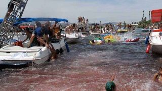 bild aus der news "Piranha 3DD": John Gulager ersetzt Alexandre Aja