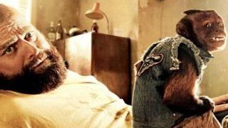 "Hangover 2": Filmemacher haben den Affen NICHT zum Raucher gemacht