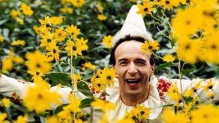 bild aus der news Roberto Benigni spielt in neuem Woody-Allen-Film
