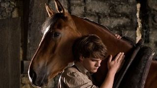 "Gefährten": Neuer Trailer zum Pferdedrama von Steven Spielberg