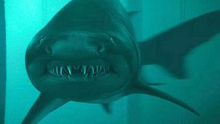 bild aus der news "Shark Night 3D": Drei Filmclips aus dem bissigen Hai-Horror-Streifen