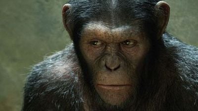 bild aus der news Fox will Guillermo del Toro als Regisseur für "Dawn Of The Planet Of The Apes"