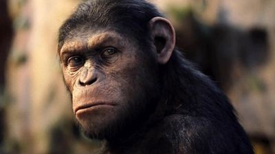 "Dawn of the Planet of the Apes": Erste Set-Bilder mit Andy Serkis, Keri Russell und Jason Clarke