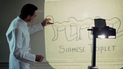 bild aus der news Fortschritte nach Streitigkeiten bei "The Human Centipede 3": Drehbeginn noch diese Woche