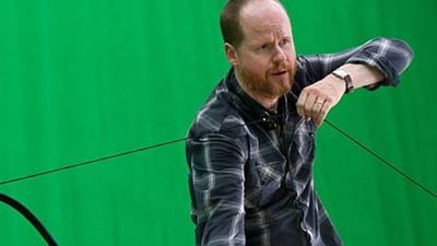 Joss Whedon gibt weitere Infos zu "Avengers 2: Age Of Ultron": Comic nicht die Vorlage, Ant-Man tritt nicht auf