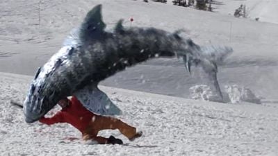 bild aus der news Achtung "Avalanche Sharks"! Im Schnee lauern hungrige Haie: Erster Trailer zum eiskalten Hai-Trash