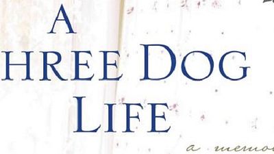 bild aus der news John Travolta und Salma Hayek übernehmen Hauptrollen im Amnesie-Drama "A Three Dog Life"