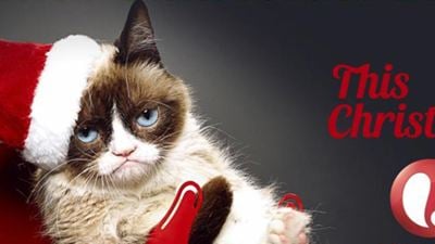 Weihnachtsfilm mit motziger Katze: Lifetime macht "Grumpy Cat's Worst Christmas ever"