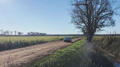 bild aus der news "True Detective": Nach drei Staffeln womöglich Schluss, Gerücht um Casting von Brad Pitt dementiert