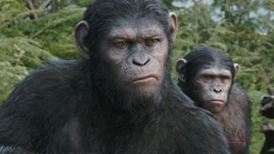 Matt Reeves über "Planet der Affen 3": Noch keine Verknüpfung zum Originalklassiker von 1968