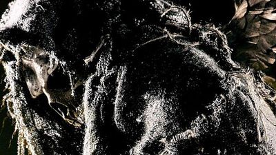 bild aus der news Der Tod kommt in "The ABCs of Death 2" auf 26 Arten: Erster Trailer zur Fortsetzung von "22 Ways To Die"