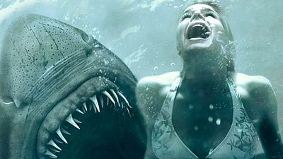 bild aus der news Surfer-Girl versus Hai: Sony produziert Survival-Thriller "In the Deep"