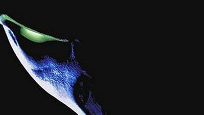 bild aus der news "Spawn"-Schöpfer Todd McFarlane meint: Neue Kino-Adaption bekommt R-Rating