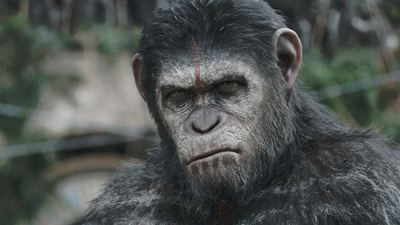 "Planet der Affen"-Regisseur Matt Reeves lobt Affen-Darsteller Andy Serkis und sieht in Caesar einen "Moses der Affen" 