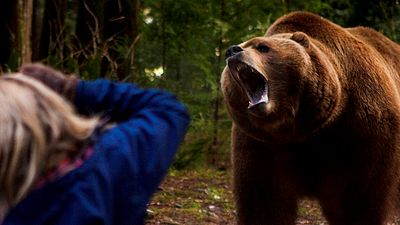 bild aus der news Dieser Killerbär liebt Menschenfleisch: Erster deutscher Trailer zu "Red Machine" von "Saw 5"-Regisseur David Hackl