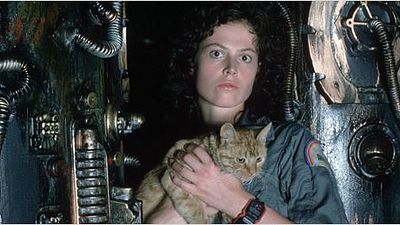 bild aus der news Neill Blomkamp stellt klar: "Alien 3" und "Alien 4 – Die Wiedergeburt" werden nicht ignoriert