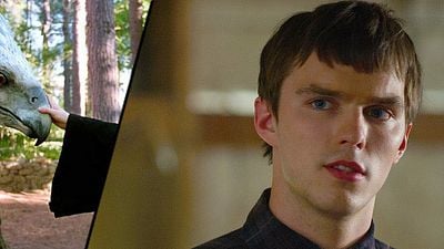 Nicholas Hoult auch im Gespräch für "Phantastische Tierwesen und wo sie zu finden sind"