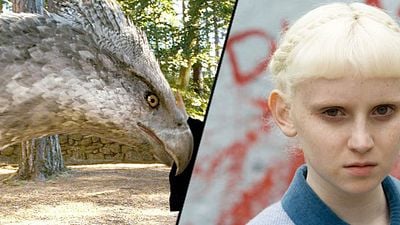bild aus der news Casting-Zuwachs für "Harry Potter"-Spin-off "Phantastische Tierwesen und wo sie zu finden sind"