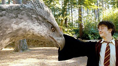 bild aus der news "Phantastische Tierwesen und wo sie zu finden sind": J.K. Rowling enthüllt neues Detail