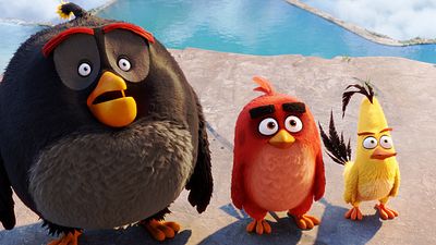 bild aus der news "Angry Birds - Der Film": Im neuen Trailer werden fluffige Vögelchen fuchsteufelswild